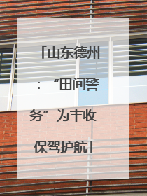 山东德州：“田间警务”为丰收保驾护航