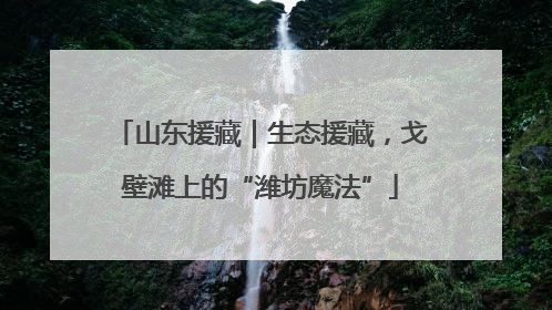 山东援藏｜生态援藏，戈壁滩上的“潍坊魔法”