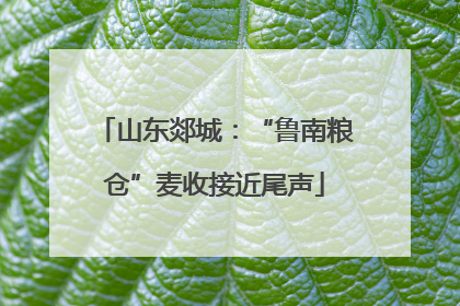 山东郯城：“鲁南粮仓”麦收接近尾声