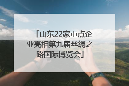 山东22家重点企业亮相第九届丝绸之路国际博览会