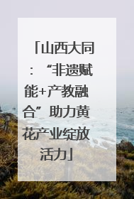 山西大同：“非遗赋能+产教融合”助力黄花产业绽放活力