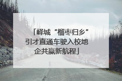 峄城“榴枣归乡”引才直通车驶入校地企共赢新航程
