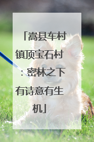 嵩县车村镇顶宝石村：密林之下有诗意有生机