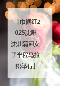 巾帼红2025沈阳沈北蒲河女子半程马拉松举行