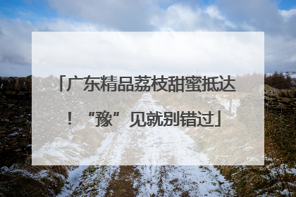 广东精品荔枝甜蜜抵达！“豫”见就别错过