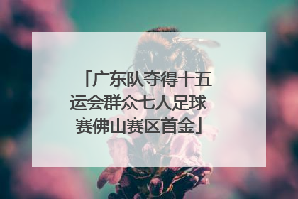 广东队夺得十五运会群众七人足球赛佛山赛区首金
