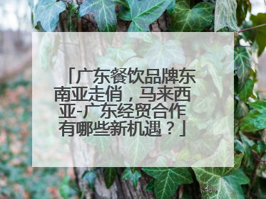 广东餐饮品牌东南亚走俏，马来西亚-广东经贸合作有哪些新机遇？