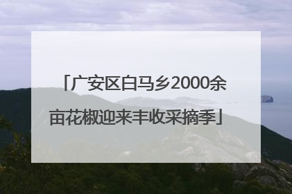 广安区白马乡2000余亩花椒迎来丰收采摘季