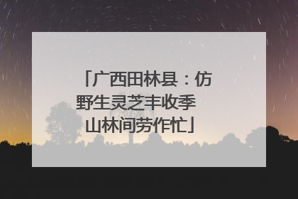 广西田林县：仿野生灵芝丰收季 山林间劳作忙