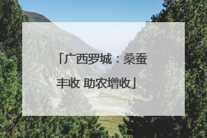 广西罗城：桑蚕丰收 助农增收