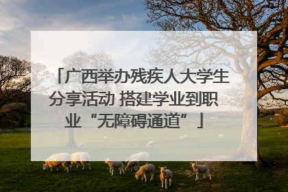 广西举办残疾人大学生分享活动 搭建学业到职业“无障碍通道”