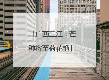 广西三江：芒种将至荷花艳
