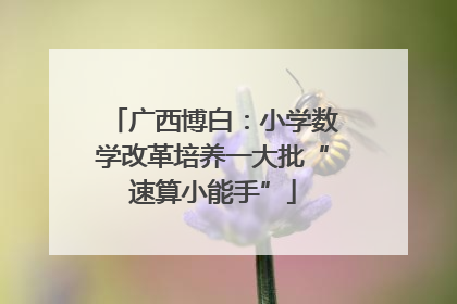 广西博白：小学数学改革培养一大批“速算小能手”