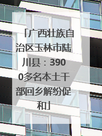 广西壮族自治区玉林市陆川县：3900多名本土干部回乡解纷促和