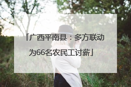 广西平南县：多方联动为66名农民工讨薪
