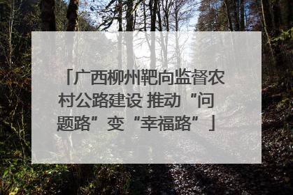 广西柳州靶向监督农村公路建设 推动“问题路”变“幸福路”