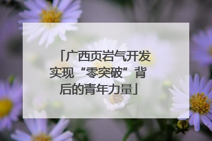 广西页岩气开发实现“零突破”背后的青年力量