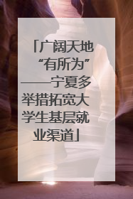 广阔天地“有所为”——宁夏多举措拓宽大学生基层就业渠道