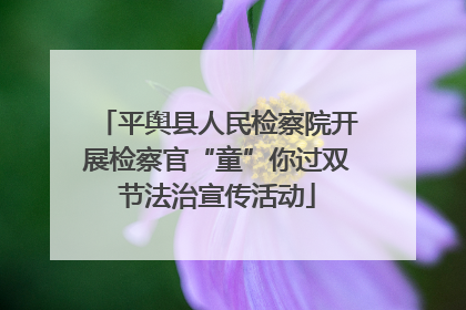平舆县人民检察院开展检察官“童”你过双节法治宣传活动