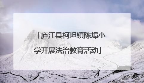 庐江县柯坦镇陈埠小学开展法治教育活动