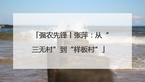 强农先锋丨张萍：从“三无村”到“样板村”