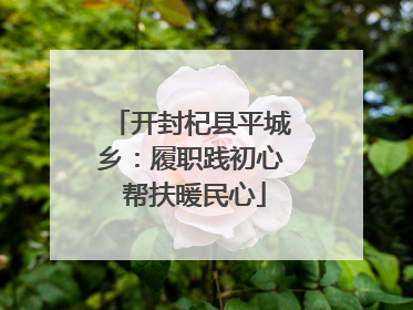 开封杞县平城乡：履职践初心 帮扶暖民心