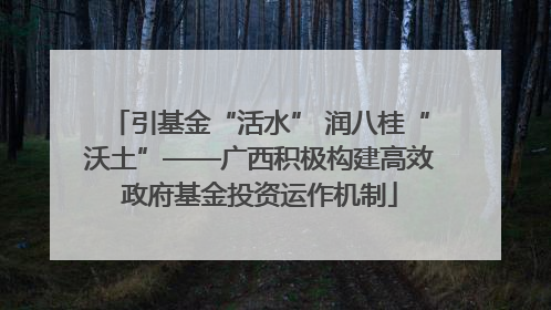 引基金“活水” 润八桂“沃土”——广西积极构建高效政府基金投资运作机制
