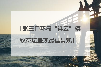 张三口环岛“祥云”模纹花坛呈现最佳景观