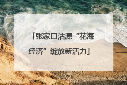 张家口沽源“花海经济”绽放新活力