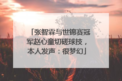 张智霖与世锦赛冠军赵心童切磋球技，本人发声：很梦幻