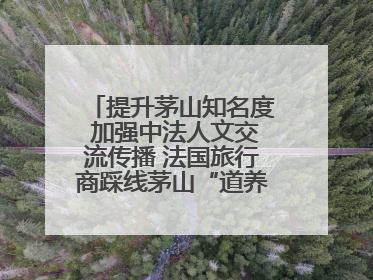 提升茅山知名度 加强中法人文交流传播 法国旅行商踩线茅山“道养文化产品”