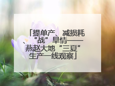 提单产、减损耗、“战”旱情——燕赵大地“三夏”生产一线观察