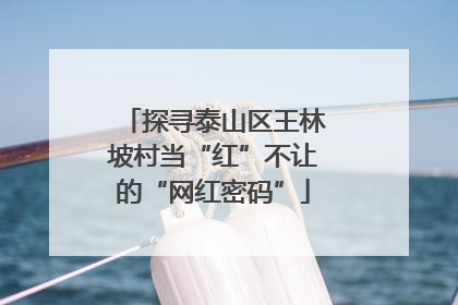 探寻泰山区王林坡村当“红”不让的“网红密码”