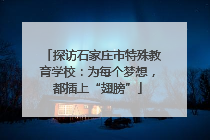 探访石家庄市特殊教育学校：为每个梦想，都插上“翅膀”
