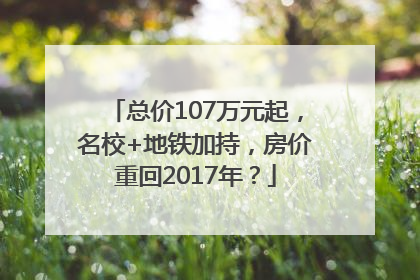 总价107万元起，名校+地铁加持，房价重回2017年？