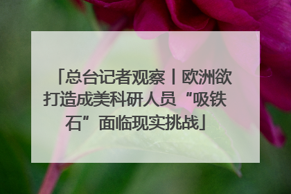 总台记者观察丨欧洲欲打造成美科研人员“吸铁石”面临现实挑战