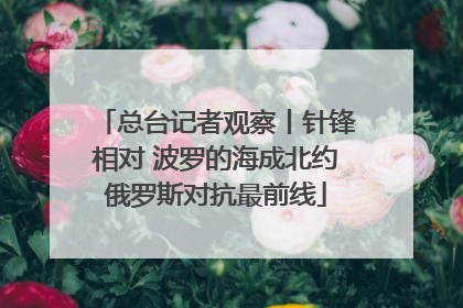 总台记者观察丨针锋相对 波罗的海成北约俄罗斯对抗最前线