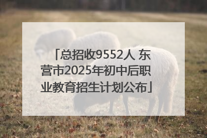 总招收9552人 东营市2025年初中后职业教育招生计划公布