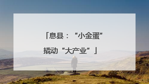 息县：“小金蛋”撬动“大产业”