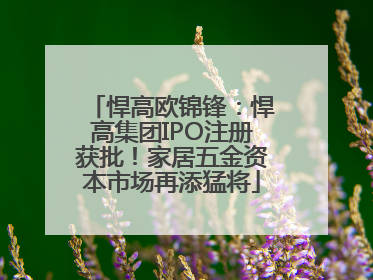 悍高欧锦锋：悍高集团IPO注册获批！家居五金资本市场再添猛将