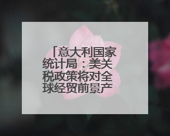 意大利国家统计局：美关税政策将对全球经贸前景产生负面影响