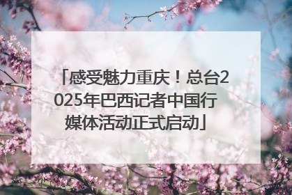 感受魅力重庆！总台2025年巴西记者中国行媒体活动正式启动