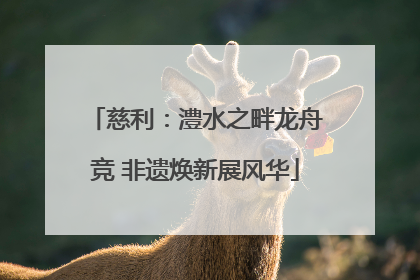 慈利：澧水之畔龙舟竞 非遗焕新展风华