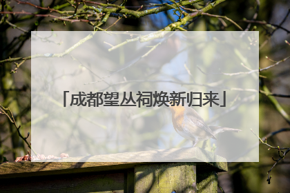 成都望丛祠焕新归来