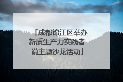 成都锦江区举办新质生产力实践者说主题沙龙活动