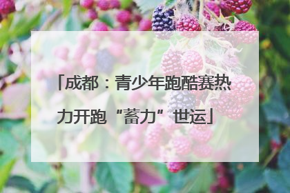 成都：青少年跑酷赛热力开跑“蓄力”世运