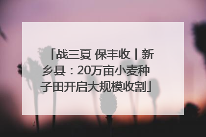 战三夏 保丰收丨新乡县：20万亩小麦种子田开启大规模收割