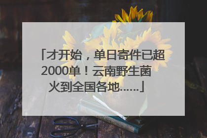 才开始，单日寄件已超2000单！云南野生菌火到全国各地……
