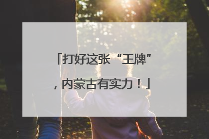 打好这张“王牌”，内蒙古有实力！