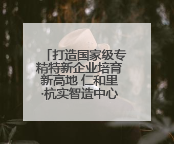 打造国家级专精特新企业培育新高地 仁和里·杭实智造中心盛大启幕！